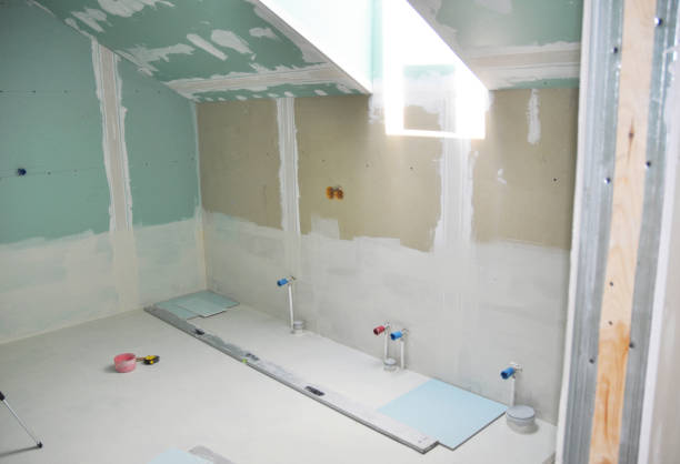 Best Crawl Space Mold Remediation  in Lodi, WI