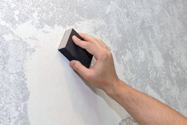 Professional Mold Removal in Lodi, WI