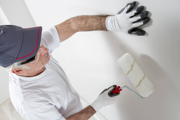 Best Basement Mold Removal  in Lodi, WI