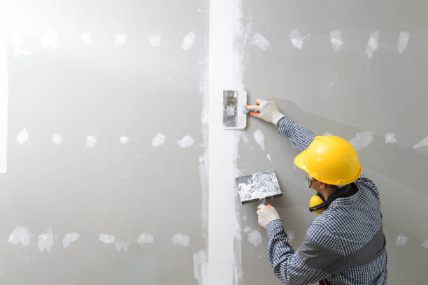  Lodi, WI Mold Removal Pros