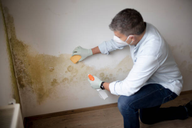 Best Biohazard Mold Removal  in Lodi, WI