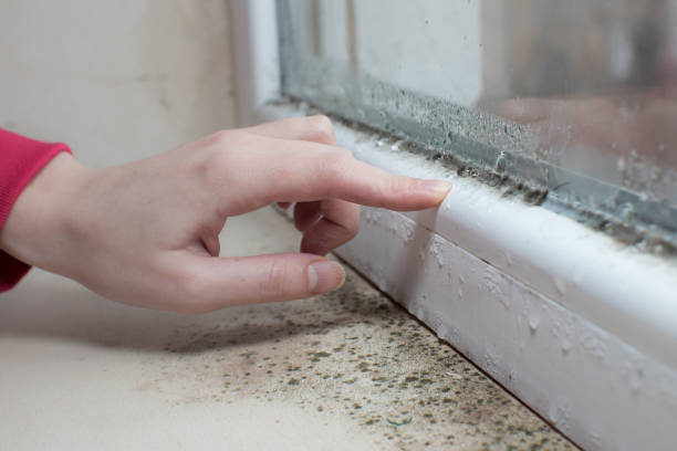 Best Air Quality Testing for Mold Spores  in Lodi, WI