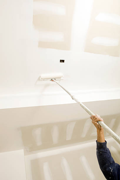 Best Emergency Mold Remediation  in Lodi, WI