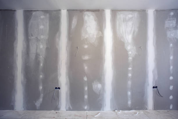Best Residential Mold Inspection & Testing  in Lodi, WI